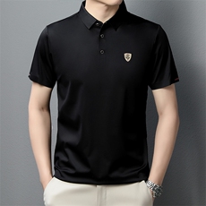 POLO衫男上衣半袖男装衣服男士体恤衫T恤潮牌休闲翻领爸爸短袖男，男装T恤，电商B212（原钱塘6029）