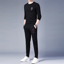 中年男休闲运动套装2023秋季刺绣潮流T恤两件套百搭时尚卫衣套装，男装休闲套装，电商B212（原钱塘6029）