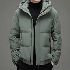 冬季新款中青年连帽羽绒服爸爸装休闲外套上衣DFLDY10005-P260，男装羽绒服，电商B212（原钱塘6029）