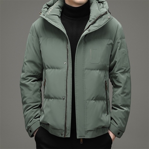 冬季新款中青年连帽羽绒服爸爸装休闲外套上衣DFLDY10005-P260图片