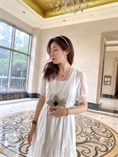 夏季新款连衣裙，女装连衣裙，紫燕千娇