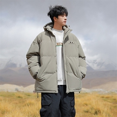 现货抖音得物可供视频三防加厚羽绒连帽棉衣外套面包棉服85529，男装棉衣，电商A486