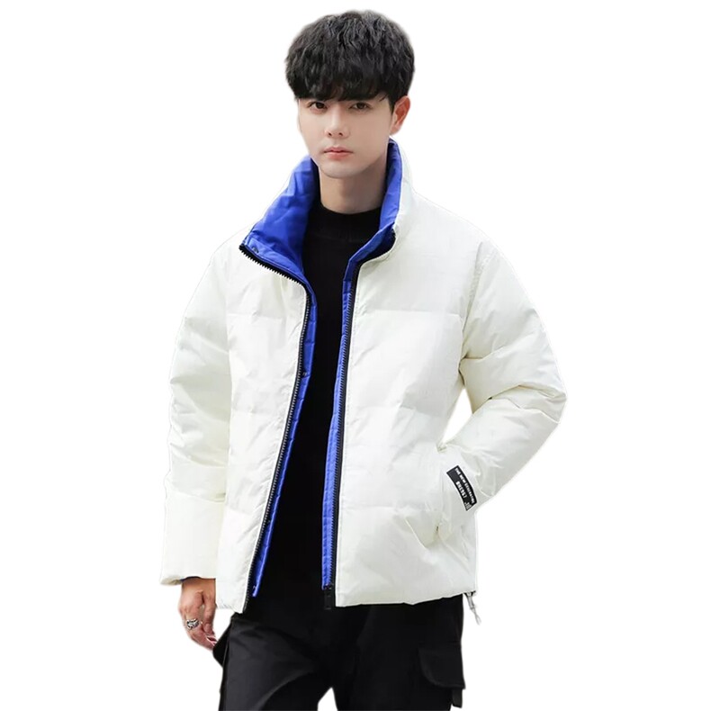60绒风衣纯色立领情侣学生短款外套羽绒服男,男装羽绒服,星座301D-5(原星座1415）