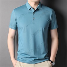 夏季polo短袖中年男士潮流百搭半袖休闲上衣男装商务休闲体恤夏装，男装T恤，电商B212（原钱塘6029）