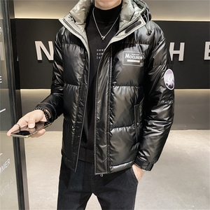 羽绒服男士2025冬季新款轻薄保暖连帽外套白鸭绒 B317/6616/P185图片