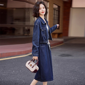 欧货爆款流行牛仔套装女2024初秋新款洋气减龄时髦流行半裙两件套图片