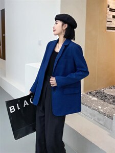 蓝典28008图片