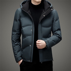 BAMJ-8967钱塘2020-2中年男士冬季厚款商务休闲立领羽绒服P245，男装羽绒服，钱塘207-2