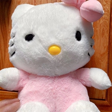 子轩玩具 凯特猫
