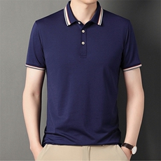 polo衫中年商务休闲男装夏季新款男士短袖T恤半袖翻领宽松上衣服，男装Polo衫，电商B212（原钱塘6029）