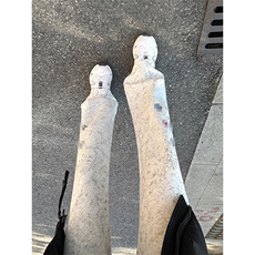 春装高品质扎染刺绣工艺弯刀卫裤男重磅复古垂感休闲运动裤阔腿裤，男装休闲裤，电商A443