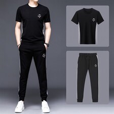 2023年休闲套装男夏季新款圆领男士冰丝短袖t恤中年薄款两件套，男装休闲套装，电商B212（原钱塘6029）