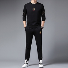 秋季男士休闲运动服套装男中年圆领时尚气质长袖卫衣裤两件套潮流，男装休闲套装，电商B212（原钱塘6029）