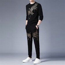 2023年秋季新款时尚圆领印花长袖T恤中年男士商务休闲运动套装，男装休闲套装，电商B212（原钱塘6029）