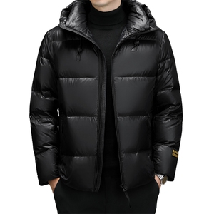 男装羽绒服YR12366继续2025冬黑金206g鹅绒 高充绒量报告图片