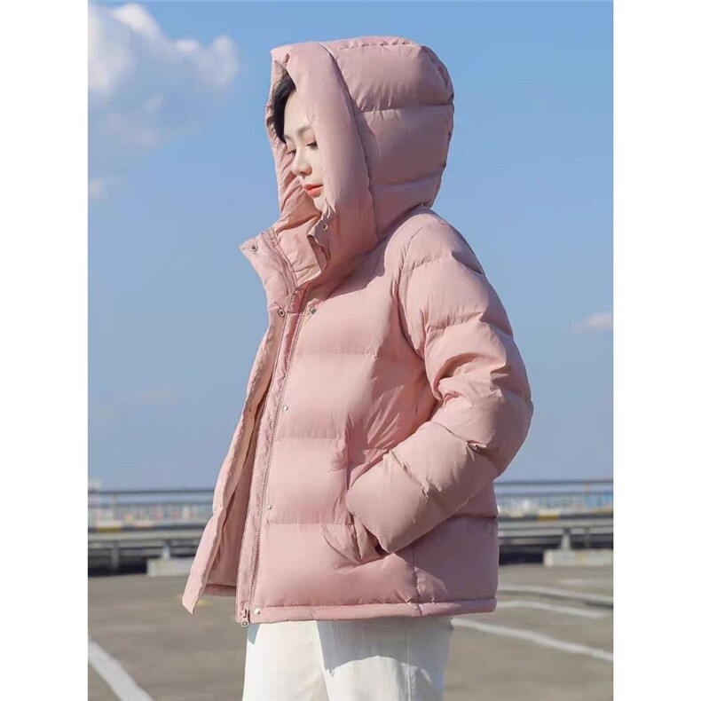 8006#光版高品质手塞棉宽松加厚面包服短款棉服外套,女装棉衣/棉服,星座1210-1