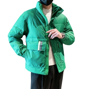 立领款白鸭绒新标50绒保暖休闲大口袋款 B226-9008-P195图片