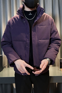 秋冬季新款男装棉衣保暖时尚立领棉袄社会小伙袄子MY87301-P138图片