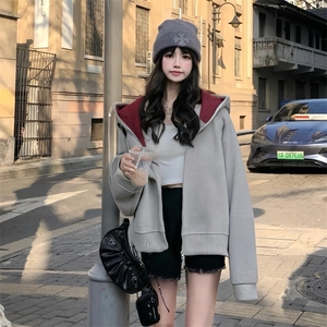 抖音得物高品质 秋冬美式高街重磅结构双层双面连帽卫衣外套XS107图片