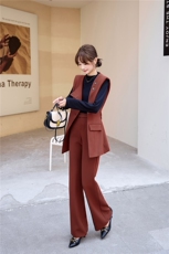 高级感洋气外套百搭显瘦西装裤腰带三件套女早秋新款时尚洋气套装，女装套装/套裙，尚娜萱