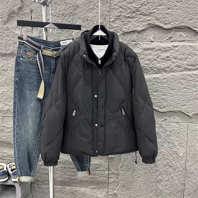 (网图)休闲轻薄男士立领白鸭绒外套羽绒服简约313B-A5811羽-P230,男装羽绒服,星座313B