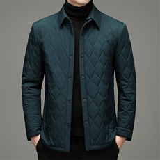 纯色棉衣男2023冬季中年男士休闲棉服爸爸冬装外套YYM2160-P210，男装棉衣，电商B212（原钱塘6029）