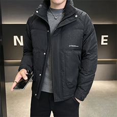 2025冬季DS-A225标新款男士立领白鸭绒羽绒服夹克885506-P150，男装夹克，电商A225