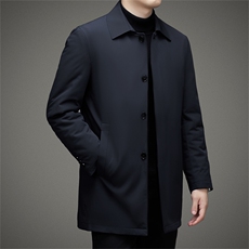 DJ123YR9931钱塘2020-3冬季厚款商务休闲简约翻领男士羽绒服P290，男装羽绒服，钱塘207-3
