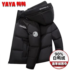 现货外贸侧飞图立领光板团体服班服宽松韩版情侣学生外套羽绒服，男装羽绒服，星座301D-5(原星座1415）