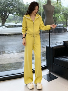设计高级感休闲运动套装春季季新款气质减龄连帽卫衣直筒裤两件套图片
