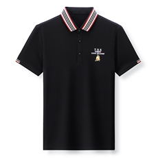 2023夏季新款商务polo衫男士短袖t恤男装夏装体恤上衣服时尚百搭，男装T恤，电商B212（原钱塘6029）