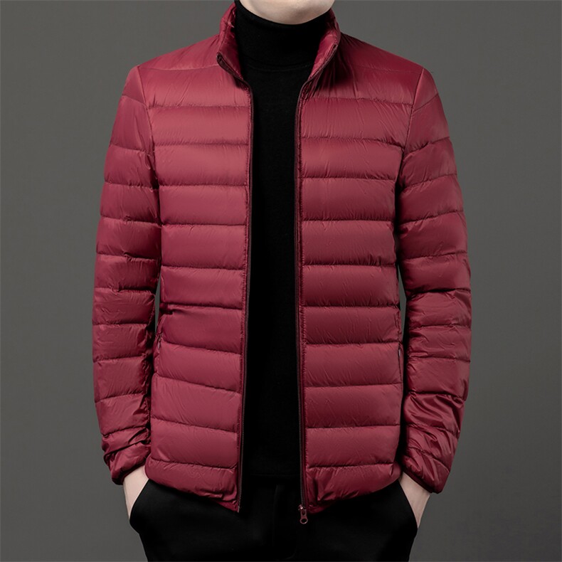 秋冬季大码男轻便棉服立领短款保暖简约休闲运动薄款简约男士,男装棉衣,钱塘6003（原4033）