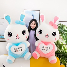 乐迪毛绒玩具 抱心兔子公仔（有版权）