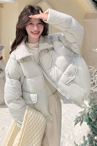 巨好看的韩系浅蓝色羽绒服女冬季2025新款设计显瘦白鸭绒外套爆款图片