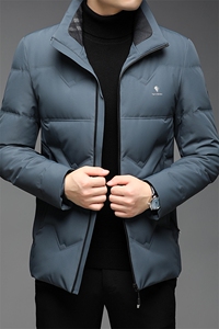 中老年羽绒服男士休闲冬季中年人爸爸装时尚外套QLMF8238-P250图片