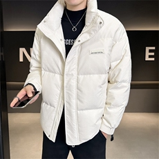 2025冬季新款店主风羽绒服加厚保暖高级感立领外套男6635-P190，男装羽绒服，电商A413