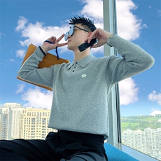 AM299/P85控115秋冬季社会小伙翻领贴标韩式百搭休闲毛衣男深灰首，男装针织衫/毛衣，星座305B-1