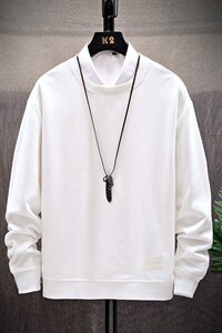 2021秋季新款男士大码卫衣圆领套头休闲打底衫上衣CYWY02-P35图片