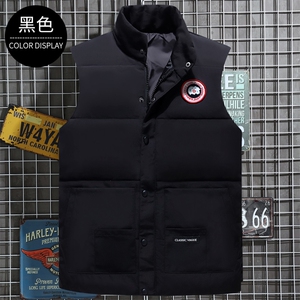 2新款立领团体建团户外工作马甲外套保暖羽绒服男女款大码MJ03P55图片