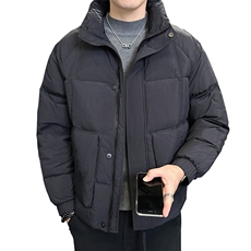 2025冬季店主风立领时尚潮流羽绒服轻熟男士外套YR28602-P185，男装羽绒服，电商A413