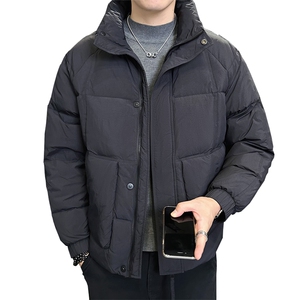 2025冬季店主风立领时尚潮流羽绒服轻熟男士外套YR28602-P185图片