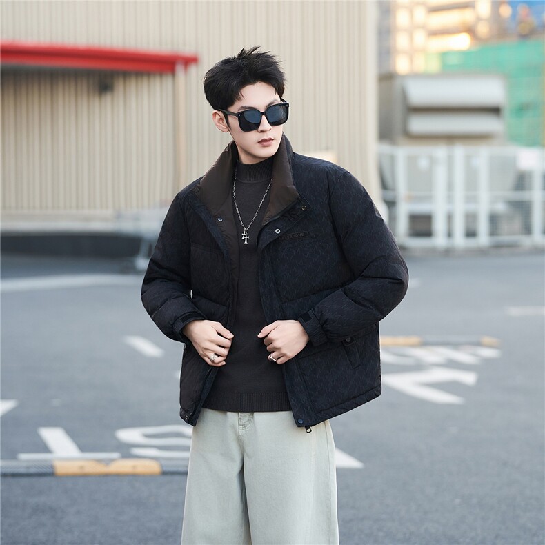 标50绒男士字母立领羽绒服保暖外套2505-P195(券后288)，男装羽绒服，电商B338