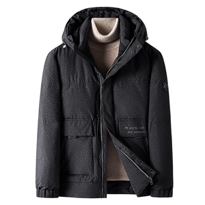 新款21冬季新款90%白鸭绒羽绒服男士休闲纯色连帽外套ZG2933-P295图片