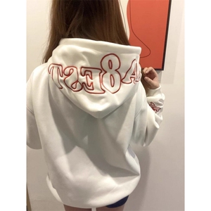 5209-P55新款宽松刺绣潮牌卫衣外套 薄款/加绒图片