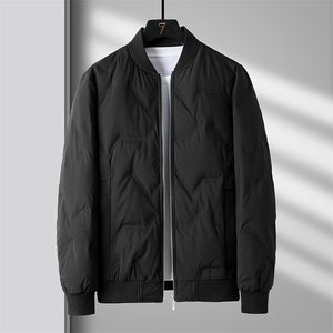 2023年新款羽绒服P245图片