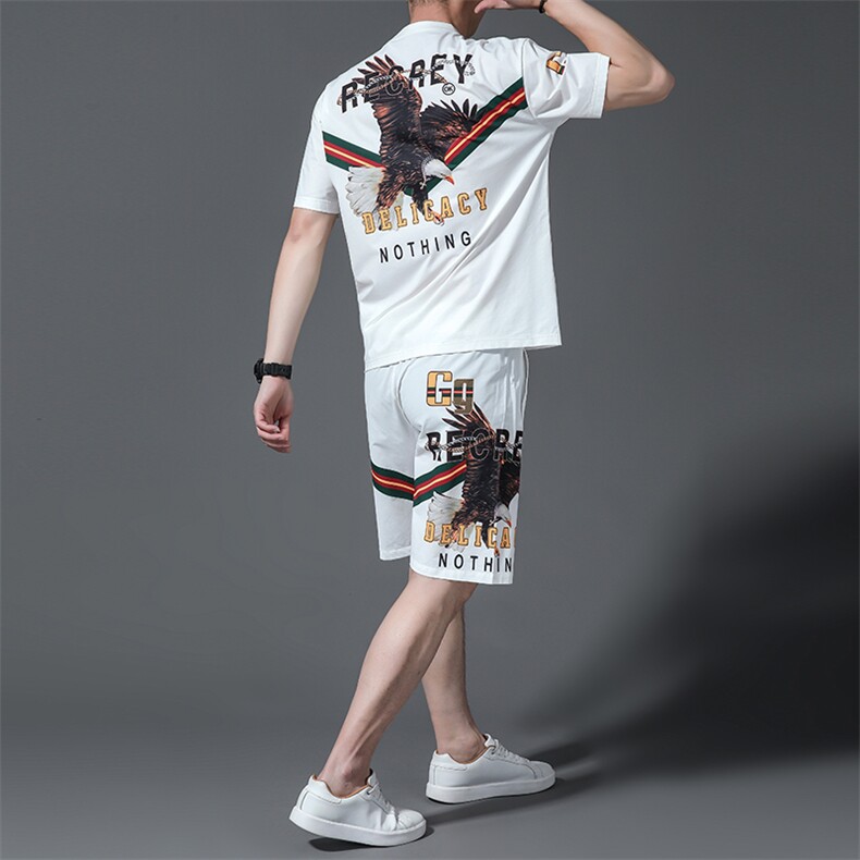 2023夏季新款运动套装男夏季商务休闲运动服男短袖薄款夏装两件套,男装休闲套装,电商B212（原钱塘6029）