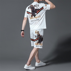 2023夏季新款运动套装男夏季商务休闲运动服男短袖薄款夏装两件套，男装休闲套装，电商B212（原钱塘6029）