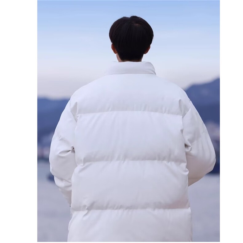 棉衣冬季立领棉服棉袄新款面包服外套男生2024年防寒年F888/P105,男装棉衣,星座506