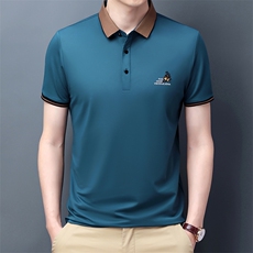 爸爸夏装中年男士短袖T恤50-60岁爸爸装中老年人冰丝上衣服polo衫，男装T恤，电商B212（原钱塘6029）