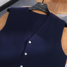 2025年秋季V领青春流行马甲时尚百搭通勤简约，男装背心/马甲，君道羊绒